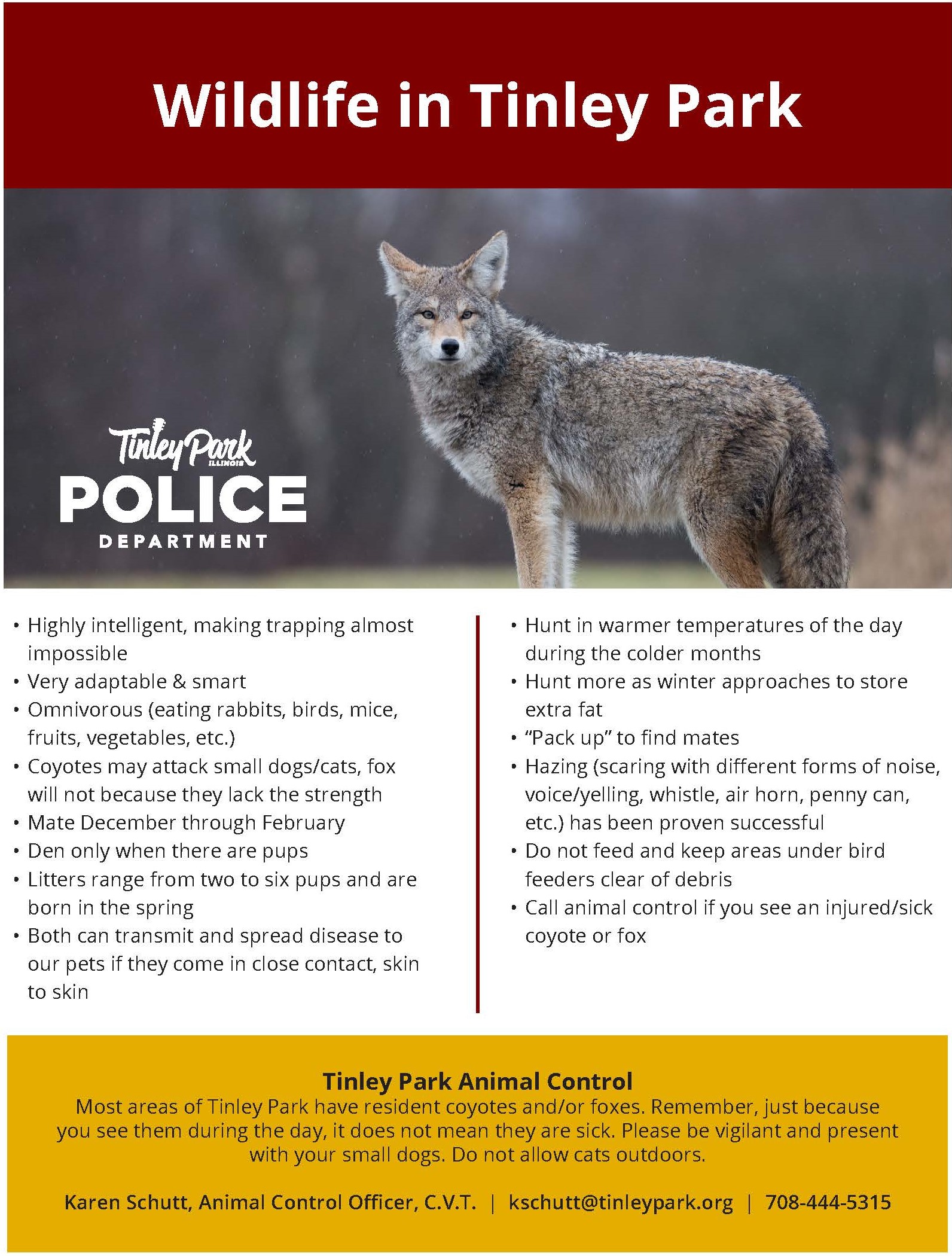 Coyote Flyer